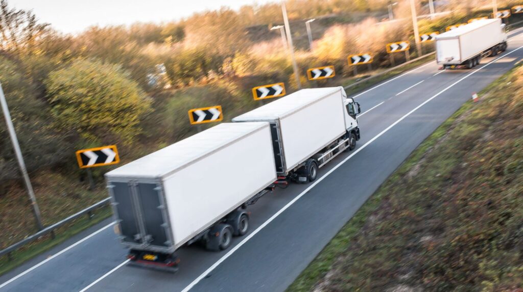 logistica carne